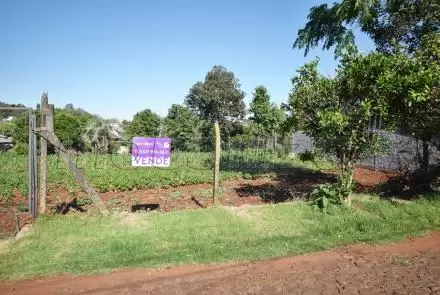 image107